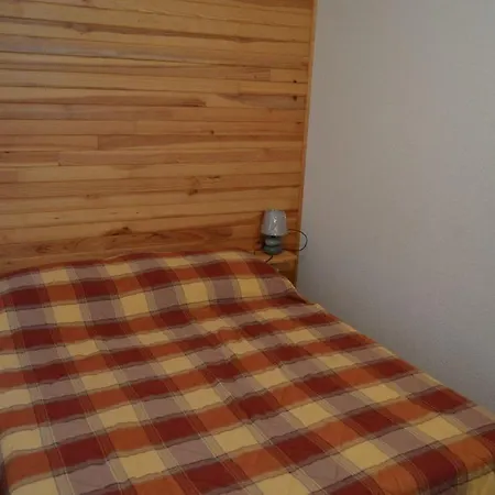 Daire 2 Pieces 30 M2 Dans De Tourisme A La Foux D'allos